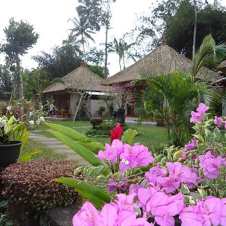 Suka'S House Bed & Breakfast Ubud Buitenkant foto