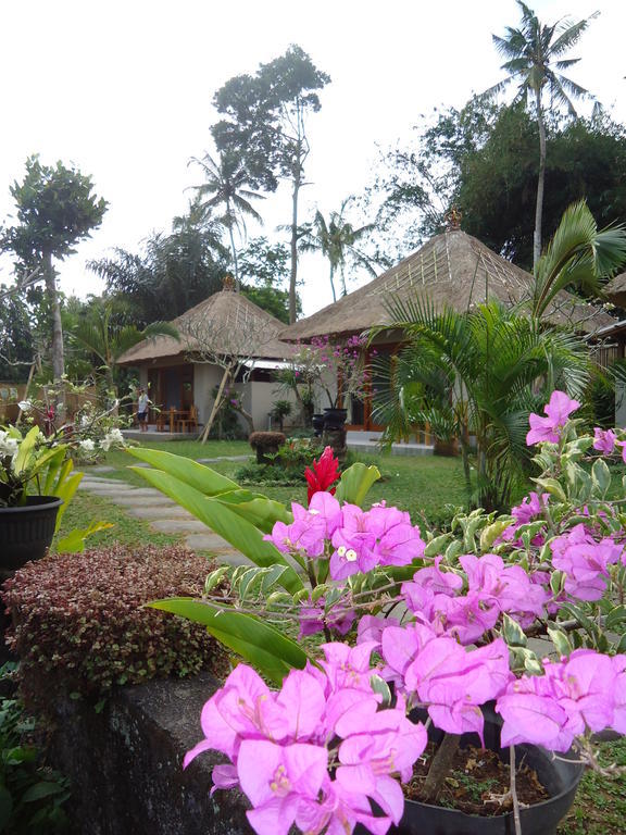 Suka'S House Bed & Breakfast Ubud Buitenkant foto