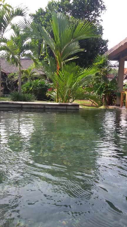 Suka'S House Bed & Breakfast Ubud Buitenkant foto