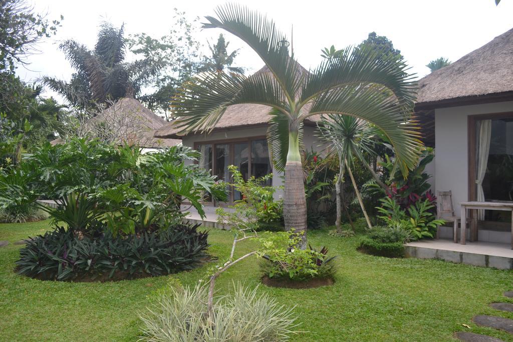 Suka'S House Bed & Breakfast Ubud Buitenkant foto