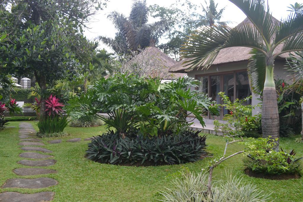 Suka'S House Bed & Breakfast Ubud Buitenkant foto